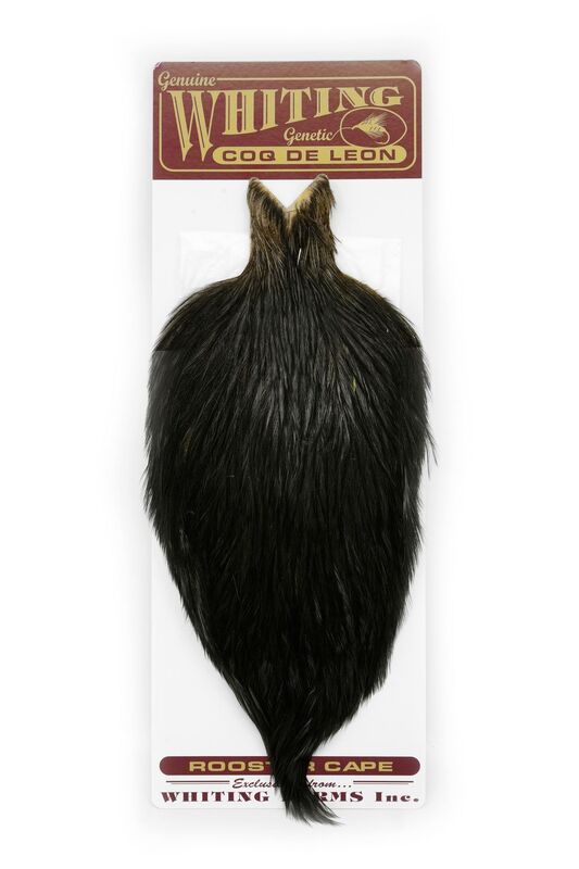 Whiting Coq de Leon Cape - Black