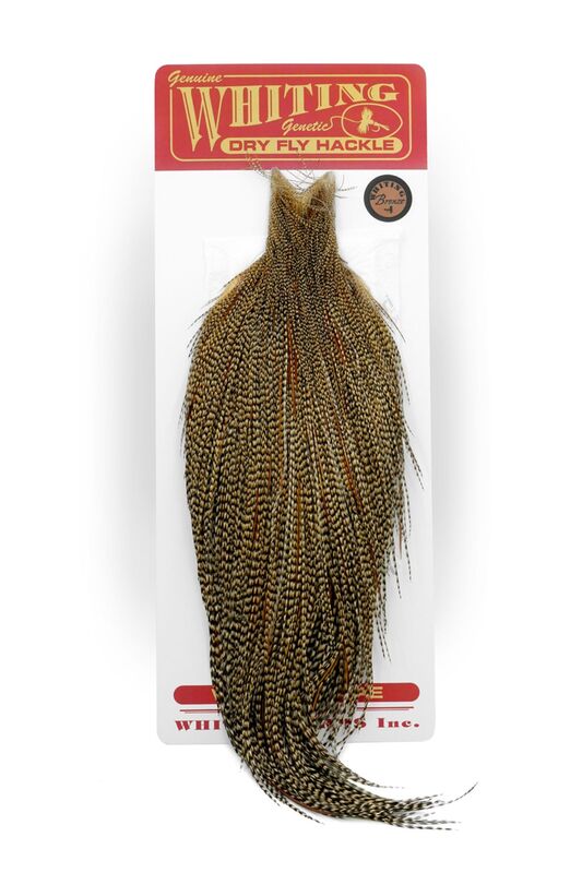 Whiting Bronze Cape - Cree