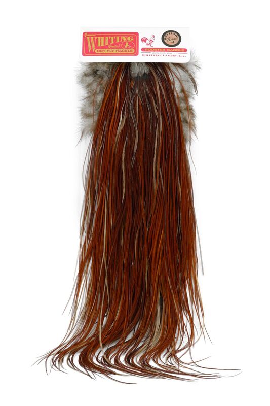 Whiting Bronze Saddle - Brown