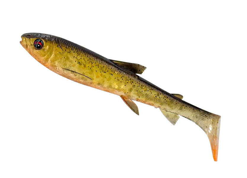 SG 3D Whitefish Shad  9cm/7g Dirty Roach, Savage Gear, gäddjigg, gösjigg, abborrjigg, predatorfiske, shadjigg, mjukbete