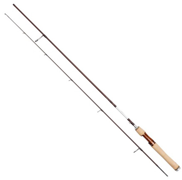 Myran Myrmecia Trout Haspel