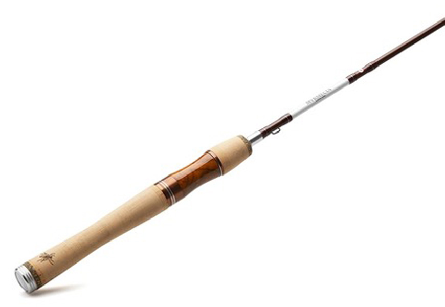 Myran Myrmecia Trout Haspel