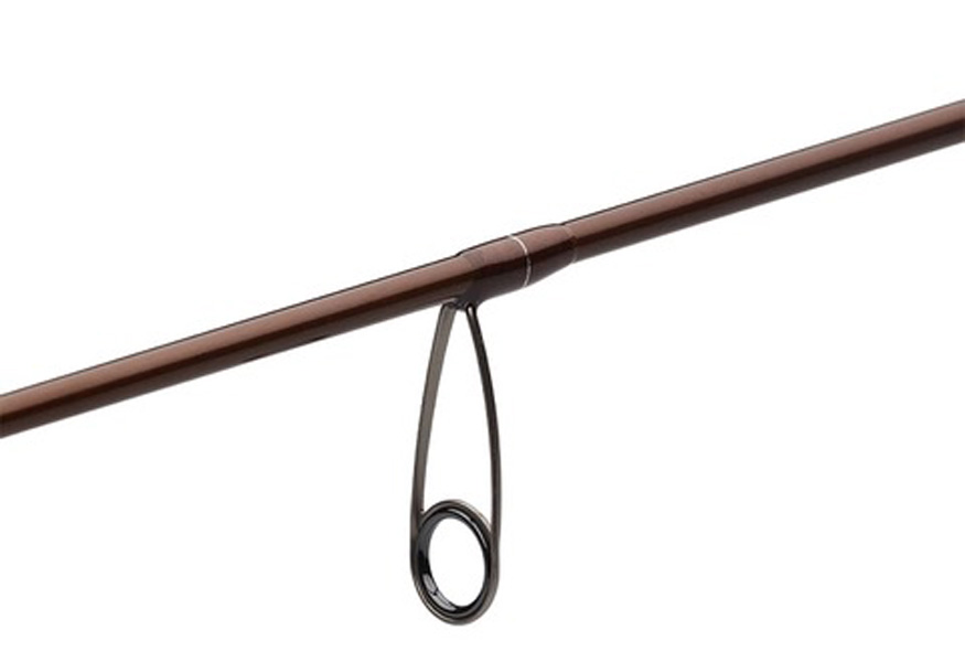 Myran Myrmecia Trout Haspel