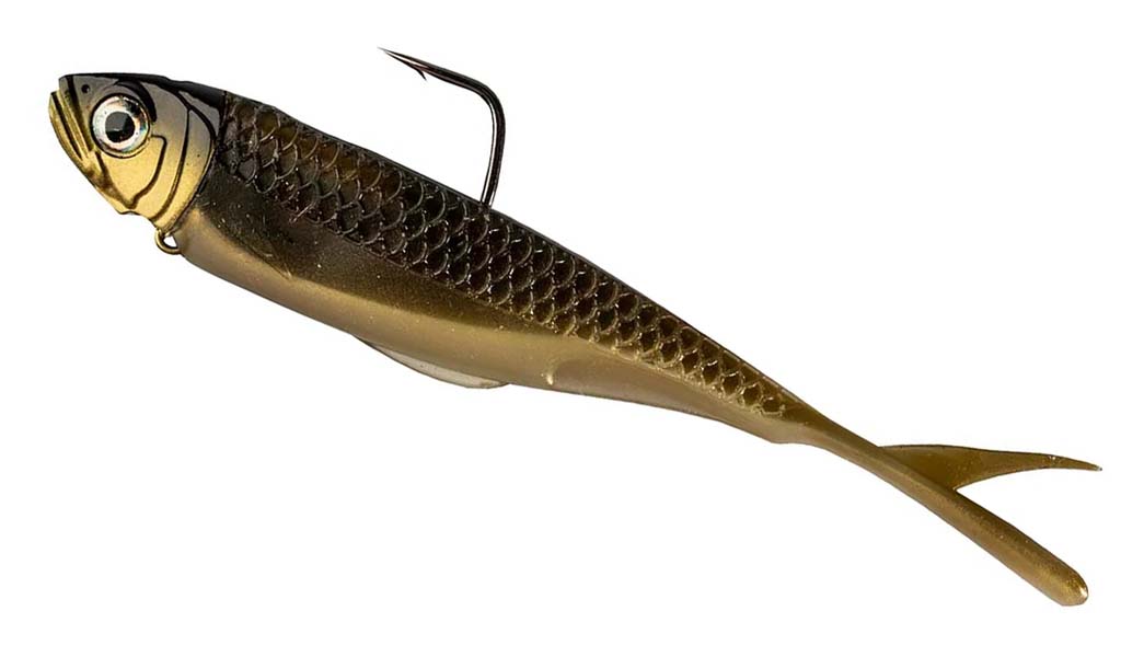 Z-Man Graph Shadz 9,5cm-10,6gr AYU