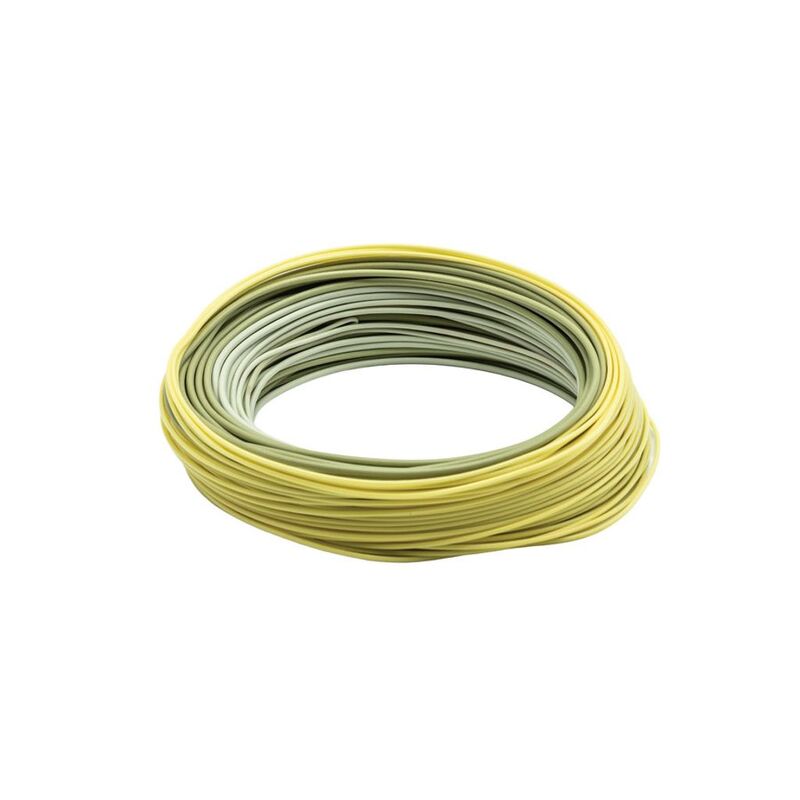 Amplitude Smooth Trout GP WF