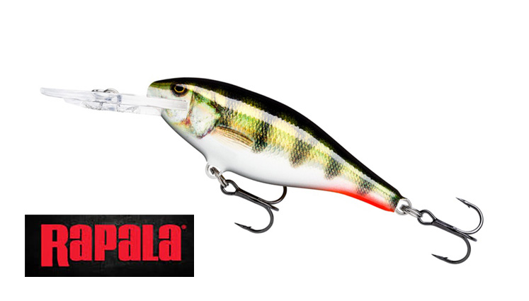 6519 Rapala Countdown Abachi Versenkung Köder CDA05//HYM