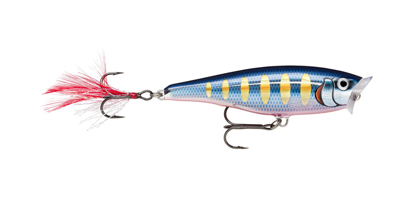 6519 Rapala Countdown Abachi Versenkung Köder CDA05//HYM